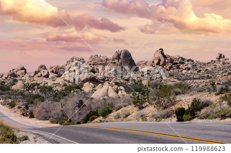 Joshua tree national park, california, united states Joshua tree national park, california, united states 119988623