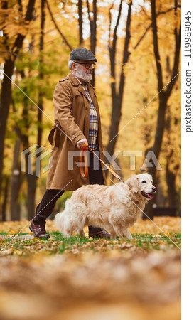 Elderly man in plaid shirt and coat walking his beloved dog along leaf-strewn path on bright autumn day in park. 119989045
