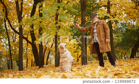 Mature man and golden retriever on cozy walk surrounded by golden autumn leaves, enjoying cool breeze and playing together in fall park. Mature man and golden retriever on cozy walk surrounded by golden autumn leaves, enjoying cool breeze and playing together in fall park. 119989072