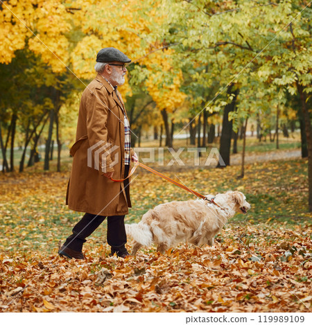 Senior man in hat and his loyal retriever wander park paths, surrounded by golden hues of fall leaves. Senior man in hat and his loyal retriever wander park paths, surrounded by golden hues of fall leaves. 119989109