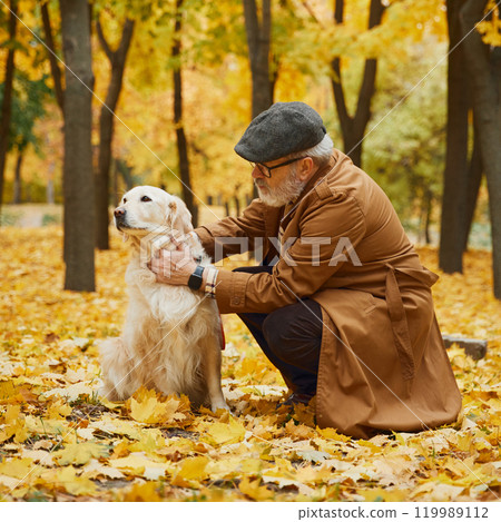 Elderly man walking and playing along tree-lined path in park with his dog, both enjoying calm and beauty of fall. Elderly man walking and playing along tree-lined path in park with his dog, both enjoying calm and beauty of fall. 119989112