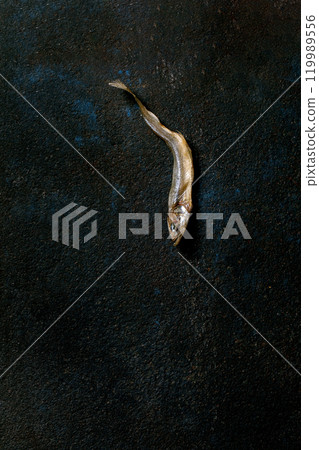 One dried sun-dried sea fish smelt hamsa anchovy on dark textured background. Salty traditional appetizer. Sea food background One dried sun-dried sea fish smelt hamsa anchovy on dark textured background. Salty traditional appetizer. Sea food background 119989556