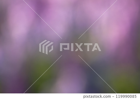 Autumn flowers blurred in a circle - 10 Autumn flowers blurred in a circle - 10 119990085