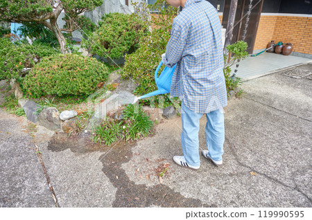 Woman taking care of the garden, watering, old house, countryside 119990595