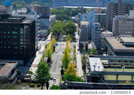 Kochi cityscape 119990853