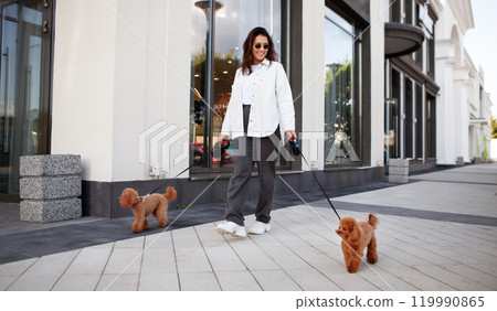 Stylish woman walks down the city street with two small dogs on leashes. Urban lifestyle with cute miniature poodles, a trendy female pet owner enjoying a leisurely stroll in the cityscape 119990865