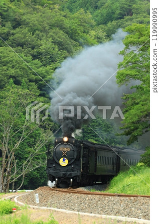 SL Yamaguchi D51 8613 SL Yamaguchi D51 8613 119990995