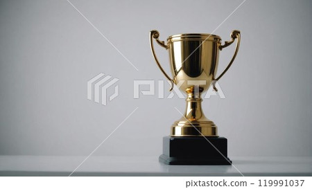 Trophy 119991037
