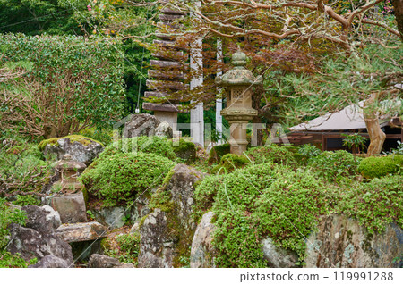 日式庭園、古民宅、庭園、鄉村 119991288