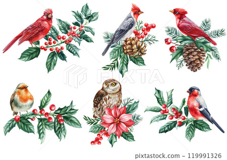Red cardinal bird with green holly leaves and berries, watercolor christmas illustration, nature-inspired holiday decor 119991326