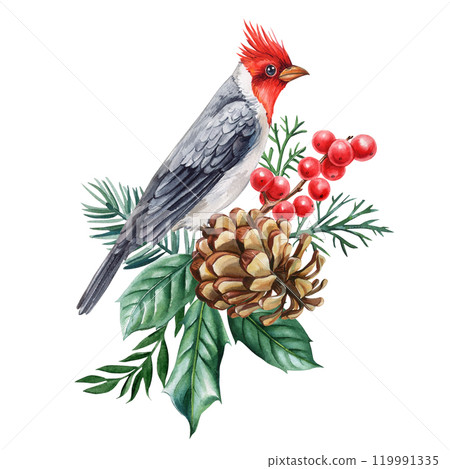 Watercolor Christmas cardinal on holly branch with red berries, pine cone and green leaves. festive winter illustration 119991335