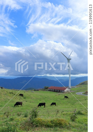Shikoku Karst: Grazing cows and windmills, early autumn (Yusuhara Town, Kochi Prefecture) Shikoku Karst: Grazing cows and windmills, early autumn (Yusuhara Town, Kochi Prefecture) 119991613
