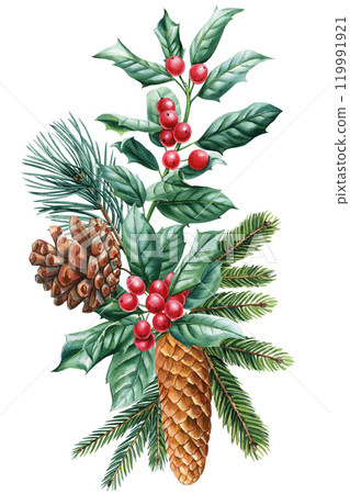 Watercolor Christmas pine cone arrangement with holly berries, evergreen winter foliage isolated on white, holiday decor 119991921