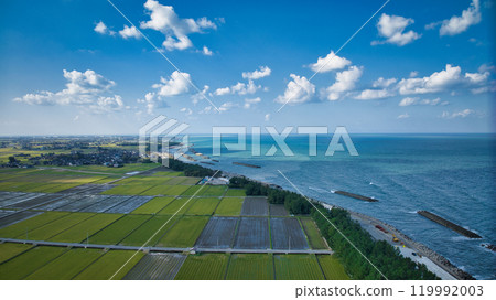 秋季富山縣入禪町沿岸的離岸風力渦輪機和防波堤 119992003