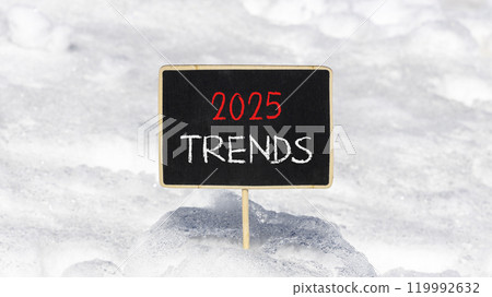 Planning 2025 trends new year symbol. Concept words 2025 Trends on beautiful yellow chalk blackboard. Beautiful white snow background. Business 2025 trends new year concept. Copy space. Planning 2025 trends new year symbol. Concept words 2025 Trends on beautiful yellow chalk blackboard. Beautiful white snow background. Business 2025 trends new year concept. Copy space. 119992632