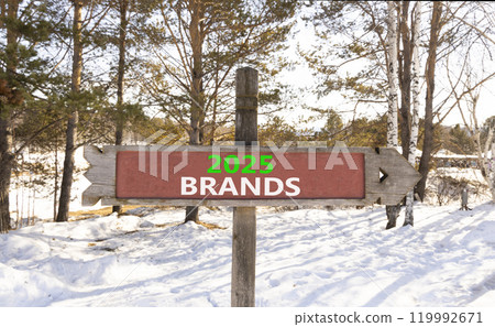 Planning 2025 brands new year symbol. Concept words 2025 Brands on beautiful wooden old retro vintage road sign. Beautiful winter forest background. Business 2025 brands new year concept. Copy space. 119992671