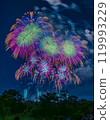 Fireworks 119993229
