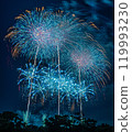 Fireworks 119993230