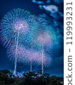 Fireworks 119993231