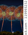 Fireworks 119993232