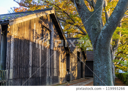 被秋葉包裹的三共倉庫 被秋葉包裹的三共倉庫 119993266