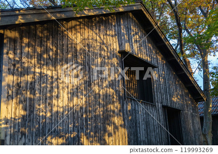 Sankyo Souko surrounded by autumn leaves 119993269
