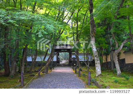 The approach to Jizo-in Temple in Kyoto City, the birthplace of Ikkyu-san The approach to Jizo-in Temple in Kyoto City, the birthplace of Ikkyu-san 119993527