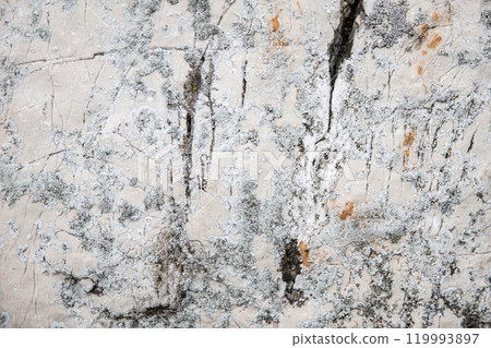 Natural stone surface, abstract light textured background 119993897