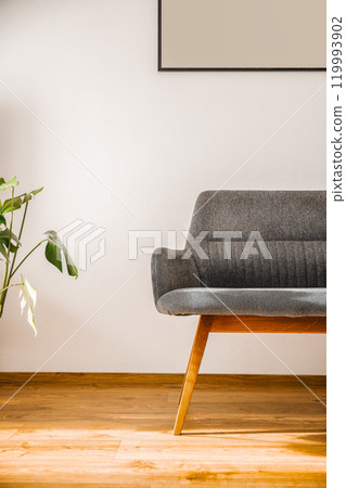 Interior design, wooden floor, sofa, plant and picture on white wall. Scandinavian livingroom photo 119993902