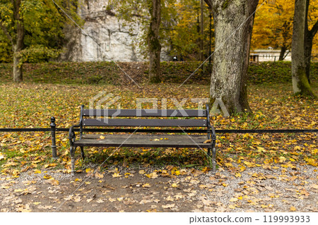 Wooden Bench in autumn public park. Benches for rest and relaxation. High quality photo 119993933
