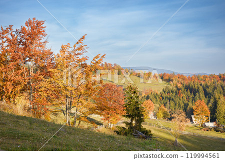 mountainous rural landscape of romania in autumn. beautiful countryside. sunny evening. transylvania scenery in fall season. outdoor adventure 119994561