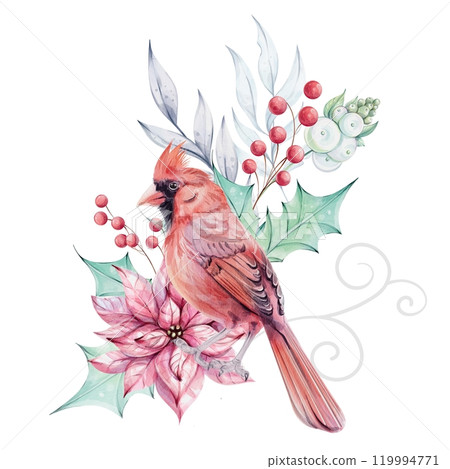 Watercolor Christmas bird red cardinal with brunch, red berries and Red poinsettia flowers bouquet. Holly green leaves. Isolated. Symbol of Christmas. Winter holiday decoration in retro, vintage style 119994771