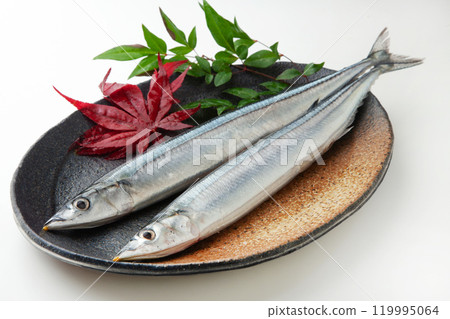 生秋刀魚 生秋刀魚 119995064