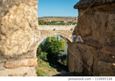 Alcantara Bridge, Toledo, Spain 119995198