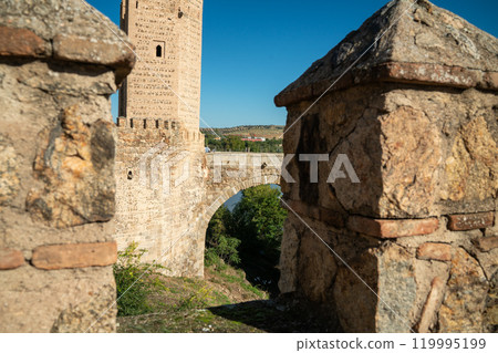 Alcantara Bridge, Toledo, Spain 119995199