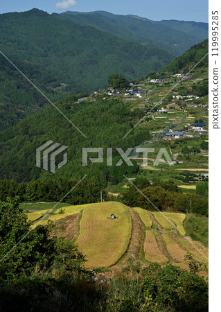 神社梯田3（高知縣長岡郡大豐町八根） 119995285