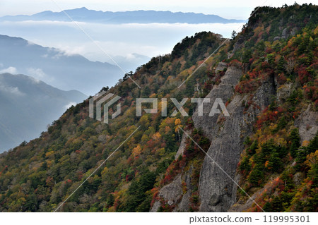 景森2的秋葉(愛媛郡西條市UFO線沿線) 景森2的秋葉(愛媛郡西條市UFO線沿線) 119995301