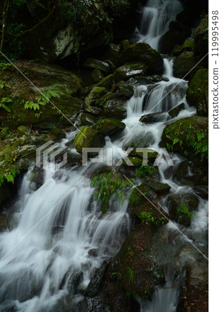 Mountain stream 6 (Yamashiro-cho, Miyoshi City, Tokushima Prefecture) Mountain stream 6 (Yamashiro-cho, Miyoshi City, Tokushima Prefecture) 119995498