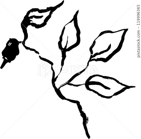 Leaf Grunge Artwork Brush Silhouette Element 119996365