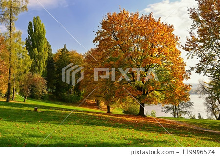 Autumn background with colorful trees. Nature with landscape. Seasonal concept for fall. 119996574