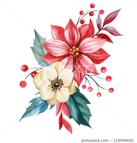 Watercolor Christmas flowers arrangement with holly berries branches and leaves isolated white background, Winter decor Watercolor Christmas flowers arrangement with holly berries branches and leaves isolated white background, Winter decor 119996602