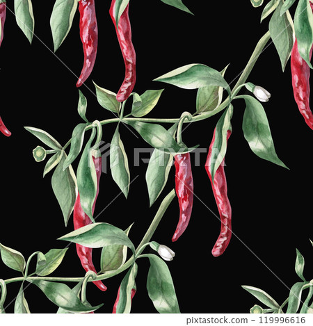 Seamless pattern, of pepper branches. Watercolor illustration on a black background of hot peppers for packaging design, kitchen accessories, textiles and clothing Seamless pattern, of pepper branches. Watercolor illustration on a black background of hot peppers for packaging design, kitchen accessories, textiles and clothing 119996616