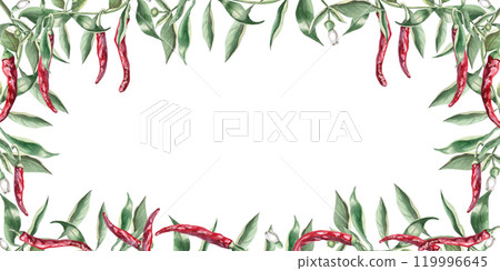 Rectangular frame of branches with hot red peppers. Hand drawn isolated watercolor illustration of vegetables for tableware design, posters, cookbook illustration, fabric and clothing printing 119996645