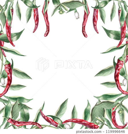 Square frame of branches with hot red peppers. Hand drawn isolated watercolor illustration of vegetables for tableware design, posters, cookbook illustration, fabric and clothing printing Square frame of branches with hot red peppers. Hand drawn isolated watercolor illustration of vegetables for tableware design, posters, cookbook illustration, fabric and clothing printing 119996646