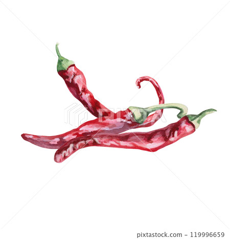 Set of three hot peppers. Isolated watercolor illustration for spice packaging design, cookbook, fabric printing, restaurant print design, tableware and kitchenware Set of three hot peppers. Isolated watercolor illustration for spice packaging design, cookbook, fabric printing, restaurant print design, tableware and kitchenware 119996659