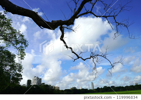Kolkata City scape from Maidan Playground Kolkata City scape from Maidan Playground 119996834
