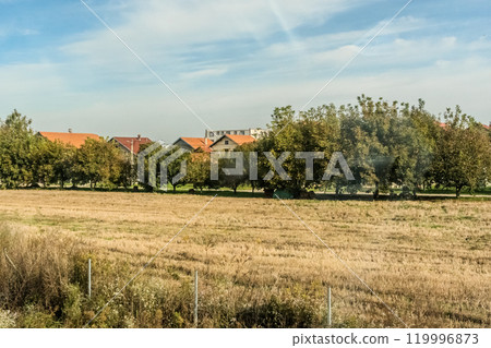 Agricultural fields with young green shoots of grain crops and plowed field without sowing. With trees in the background on the hills. Fallow concept. Alternation. High quality photo 119996873