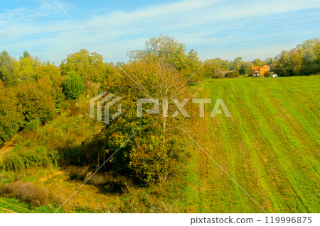 Agricultural fields with young green shoots of grain crops and plowed field without sowing. With trees in the background on the hills. Fallow concept. Alternation. High quality photo Agricultural fields with young green shoots of grain crops and plowed field without sowing. With trees in the background on the hills. Fallow concept. Alternation. High quality photo 119996875