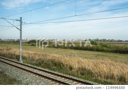 Agricultural fields with young green shoots of grain crops and plowed field without sowing. With trees in the background on the hills. Fallow concept. Alternation. High quality photo Agricultural fields with young green shoots of grain crops and plowed field without sowing. With trees in the background on the hills. Fallow concept. Alternation. High quality photo 119996880