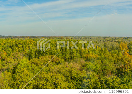 Agricultural fields with young green shoots of grain crops and plowed field without sowing. With trees in the background on the hills. Fallow concept. Alternation. High quality photo 119996891